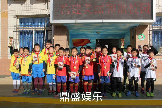 鼎盛娱乐公司简介